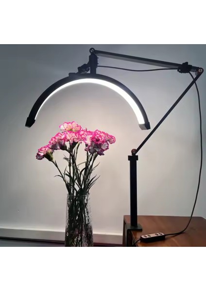 HD-M3X Ay Lamba LED Video Işığı Yarım Ay Şekilli Kumandalı Dolgu Işık Kalıcı Makyaj Tatto Çekim Işığı indirimleri