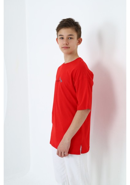 Erkek Çocuk Baskılı Tişört fiyatları