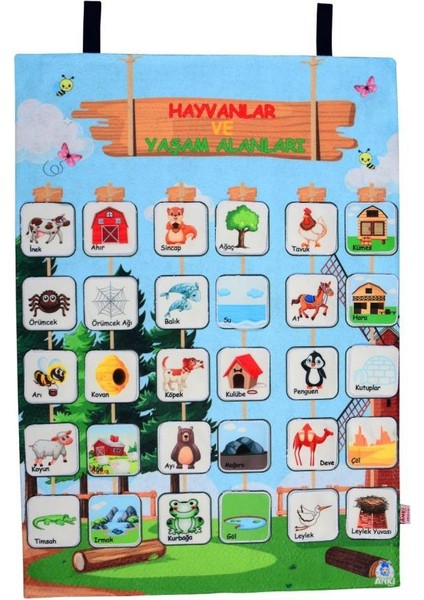 Cırtlı Pano Hayvanlar ve Yaşam Alanları