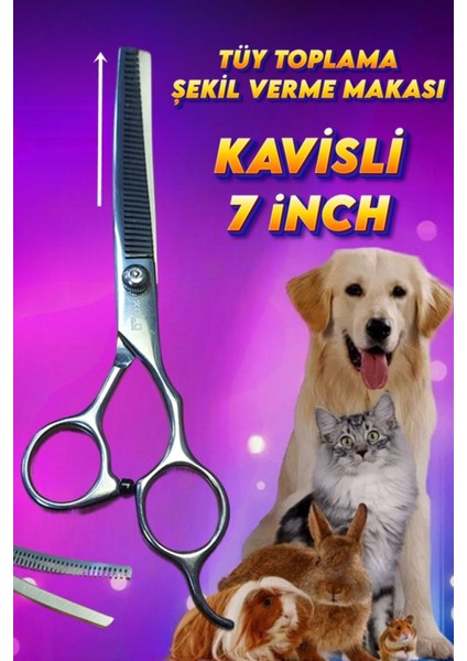 7 Inç Kavisli Titanium Grey Tüy Toplama Inceltme Kesim Makası Pet Profesyonel Tıraş Kuaför 36 Diş modelleri