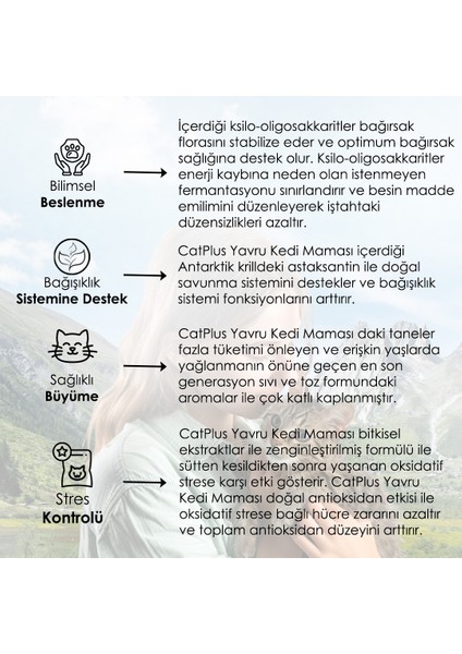 Tavuklu Hamsili Yavru Kedi Maması 1,5 kg x 3 Adet
