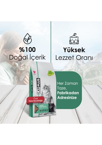 Düşük Tahıllı Hipoalerjenik Tavuklu Hamsili Yetişkin Kedi Maması 15 kg