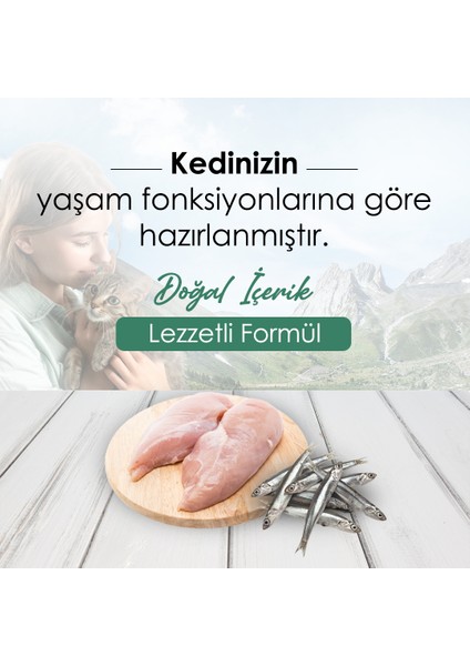 Düşük Tahıllı Hipoalerjenik Tavuklu Hamsili Yetişkin Kedi Maması 15 kg