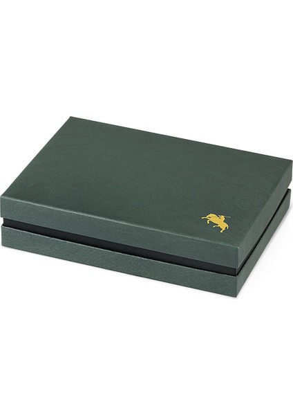 Erkek Kol Saati Cüzdan Kemer Kartlık Çakmak Kombin Set PL-0834E3 Taba Set indirimleri