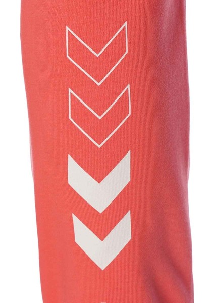 T-Te Elemental Regular Kadın Pembe Eşofman Altı fırsatları