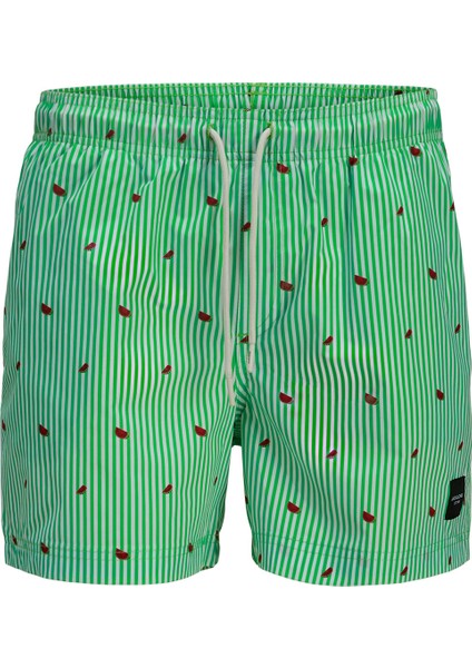Jack&jones Maui Mini Stripe Erkek Yeşil Mayoşort