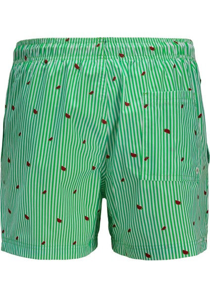 Jack&jones Maui Mini Stripe Erkek Yeşil Mayoşort fiyatları