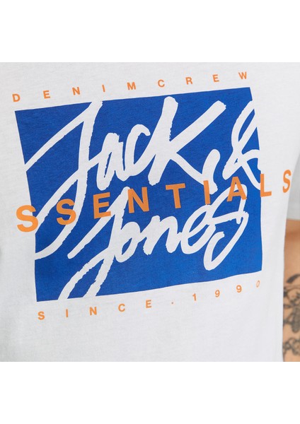 Colton Crew Neck Erkek Beyaz Yuvarlak Yaka Tişört fırsatları