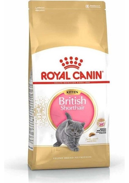 British Shorthair Kitten Yavru Kedi Maması 2 kg
