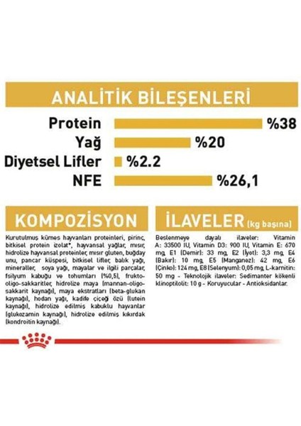 British Shorthair Kitten Yavru Kedi Maması 2 kg