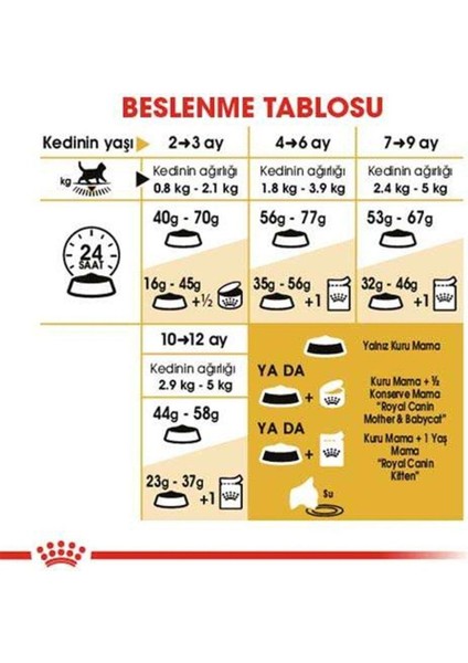 British Shorthair Kitten Yavru Kedi Maması 2 kg