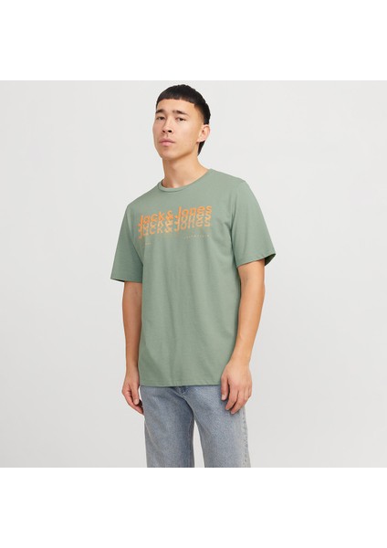 Tex Crew Neck Erkek Yeşil Klasik Yaka Tişört