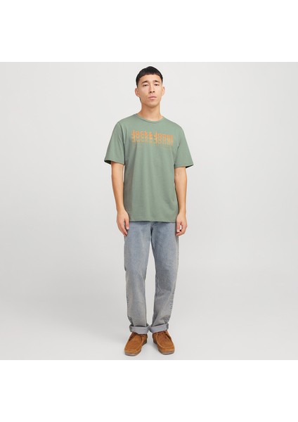 Tex Crew Neck Erkek Yeşil Klasik Yaka Tişört fiyatları