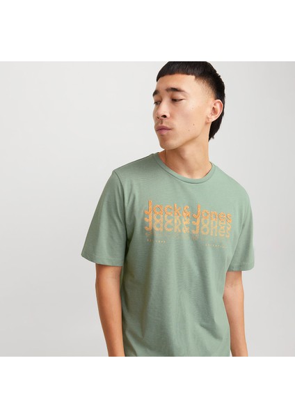 Tex Crew Neck Erkek Yeşil Klasik Yaka Tişört modelleri