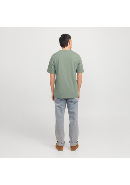 Tex Crew Neck Erkek Yeşil Klasik Yaka Tişört fırsatları