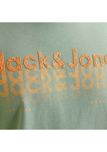 Tex Crew Neck Erkek Yeşil Klasik Yaka Tişört indirimleri