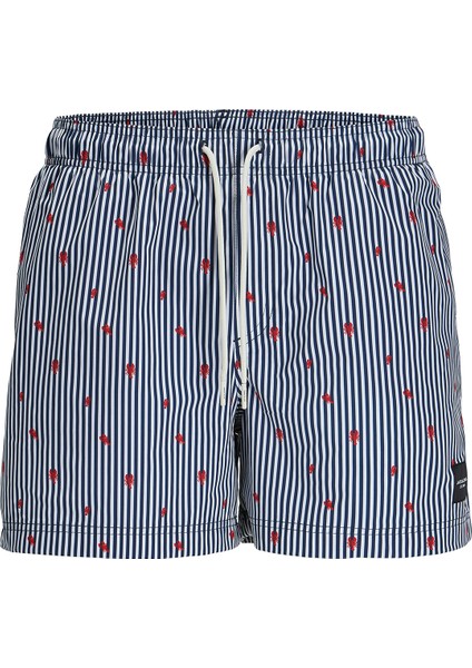 Jack&jones Maui Mini Stripe Erkek Lacivert Mayoşort