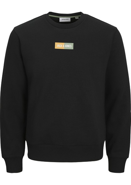 Jack&jones Pan Crew Neck Erkek Siyah Yuvarlak Yaka Sweatshirt