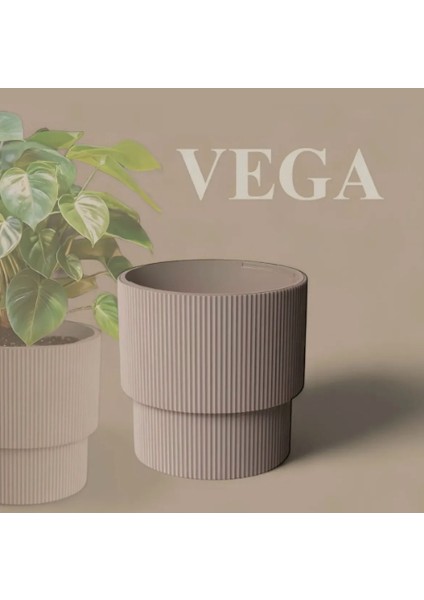 Vega Dekoratif Modern Saksı