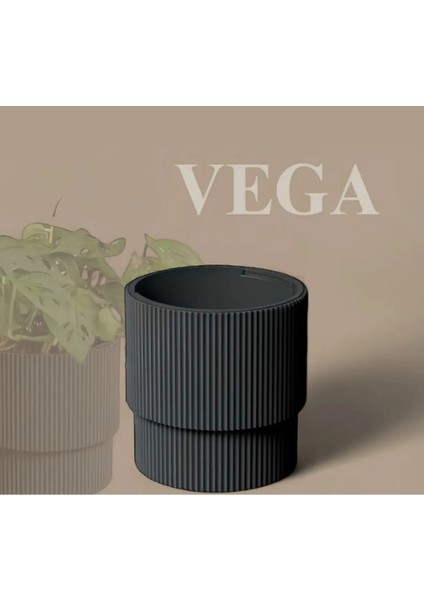 Vega Dekoratif Modern Saksı