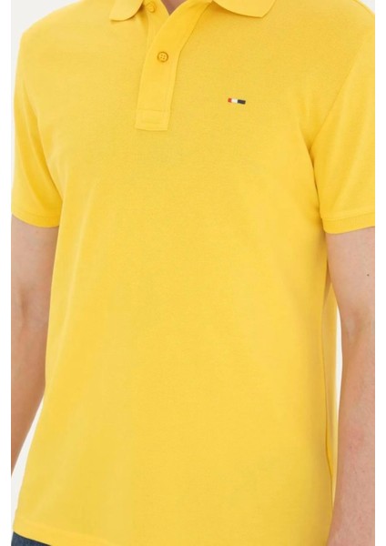 Erkek Basic Polo Yaka Tişört modelleri