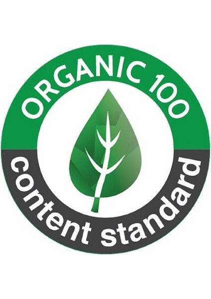 5 Adet, %95 Organik Pamuk & Likralı, Erkek Özel Slip Külot