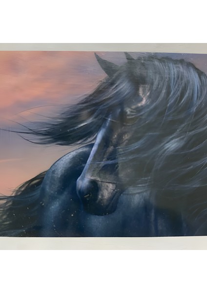 5d Yapışan Boncuk Goblen 30 x 40 cm Mozaik Tablo Pano 60232