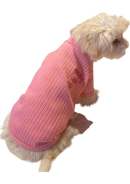 Pink Basic Küçük-Orta Irk Köpek T-Shirtü