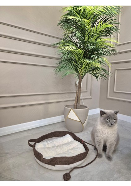 Dekoratif Lüks Kedi Yatağı Yıkanabilir Yumuşak Kedi Yastığı Oyuncak Kuyruk