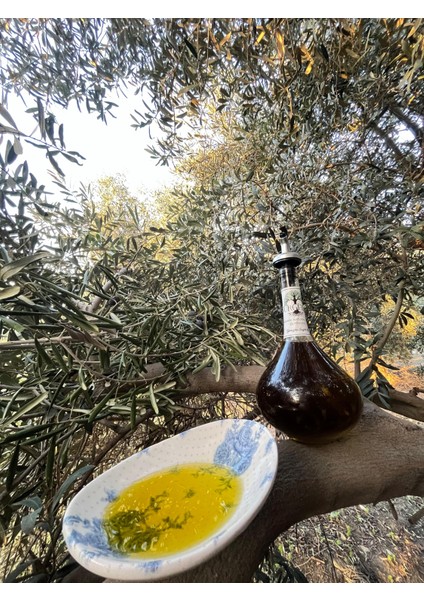 Sızma Soğuk Sıkım Zeytinyağı 1 lt