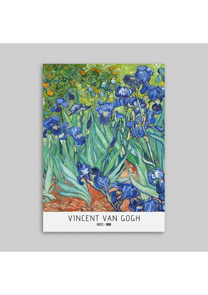 Vıncent Van Gogh - Irıses / Tasarımlı Poster