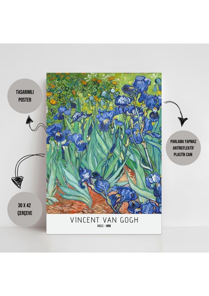 Vıncent Van Gogh - Irıses / Tasarımlı Poster fiyatları