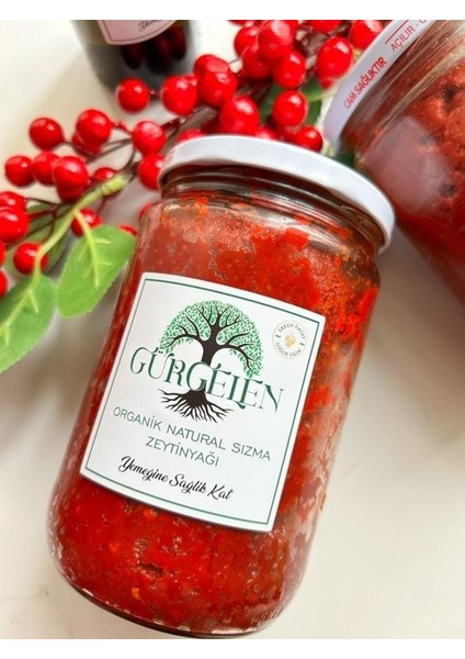 Hatay Ev Yapımı Tatlı Biber Salcası 1 kg modelleri