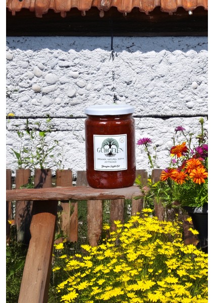 Hatay Ev Yapımı Tatlı Biber Salcası 1 kg indirimleri