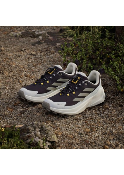 Kadın Mor Bot TERREX TRAILMAKER 2 GTX x NG W JP7065 fırsatları