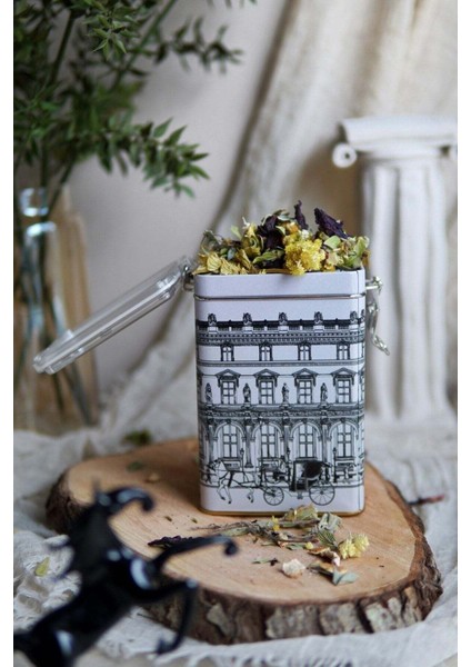 Urban Desenli Şeffaf Kapaklı Metal Saklama Kabı, 7,5 x 10 x 15 Cm, 1 Lt