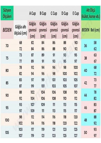 Kadın Iç Giyim Silikonlu Boş Mikro Tulumlu 3'lü Takım Sütyen 1105