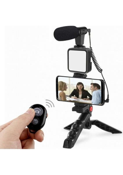 Profesyonel Selfie Mikrofon Tripod ile LED Işık Stüdyo Mikrofon Kayıt Mikrofon Vlog Tiktok Instagram