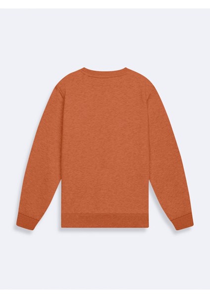 Turuncu SweatShirt fiyatları