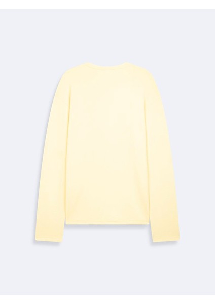 Sarı SweatShirt