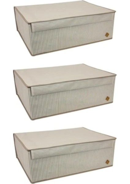 Std 3 Adet Baza Içi Düzenleyici Kapaklı Organizer Kutu 50X40X19 cm Klasik
