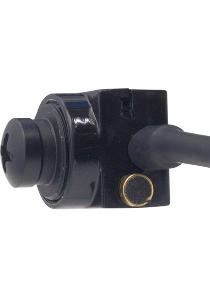 3.6 mm 800 Tvl 1/4 Sensor Mikrofonlu Siyah Vida Model Mini Kamera