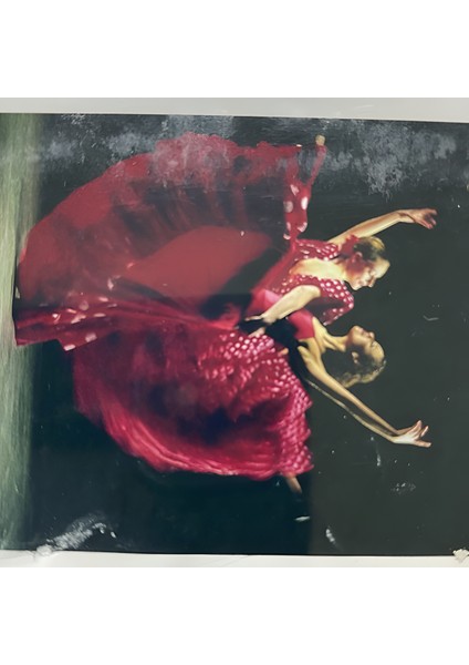 5d Yapışan Boncuk Goblen 30 x 40 cm Mozaik Tablo Pano 60337