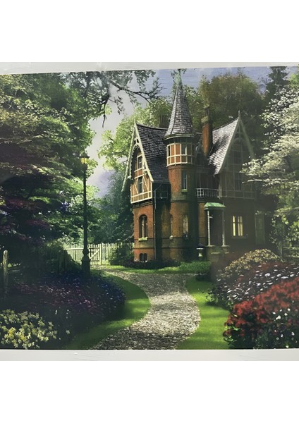 5d Yapışan Boncuk Goblen 30 x 40 cm Mozaik Tablo Pano 60199