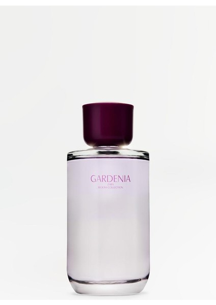 Gardenıa Edp 180 ml 6,08 fl Oz.