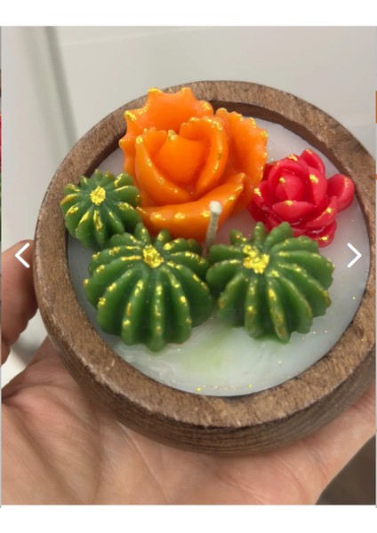 Sukulent Mum Ahşap Bambu Kasede Kokulu