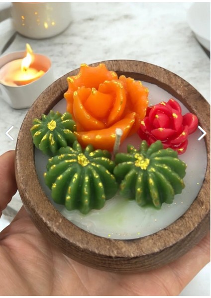 Sukulent Mum Ahşap Bambu Kasede Kokulu fiyatları