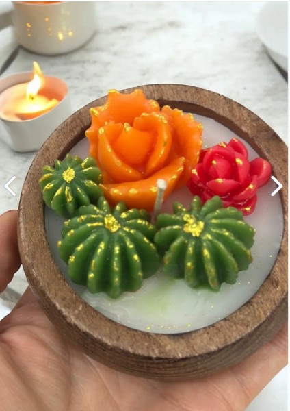 Sukulent Mum Ahşap Bambu Kasede Kokulu modelleri