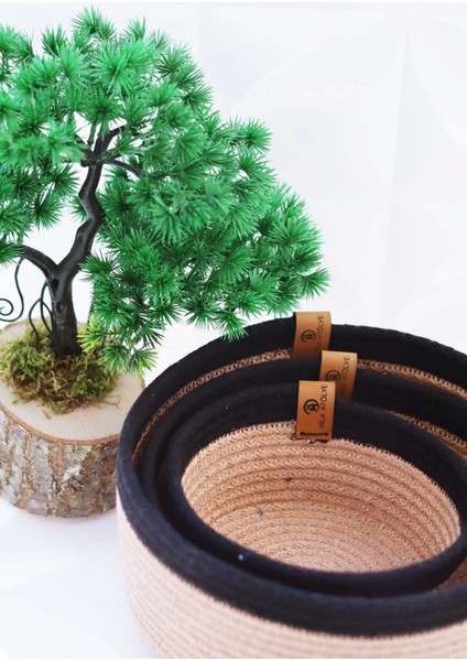 3lü Sepet Takımı, Çok Amaçlı Organizer 6 mm Kalınlığında Renkli İp Tasarım fiyatları