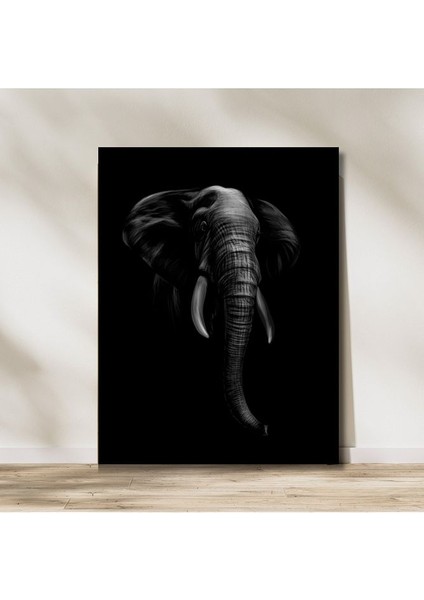 Elephant In Darkness Kanvas Tablo